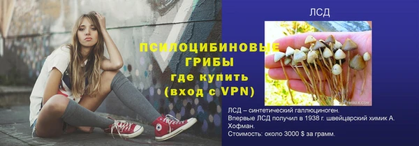 СК Каменск-Шахтинский
