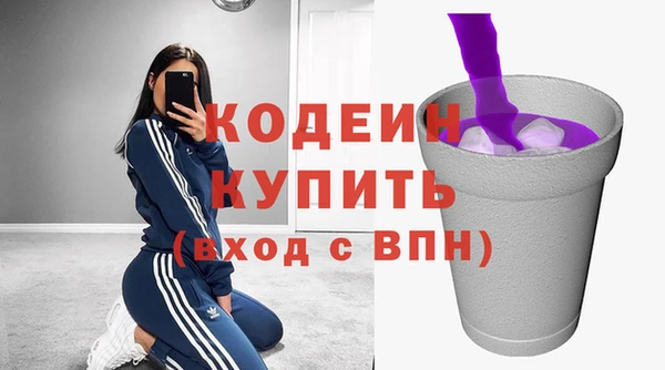 стафф Каменка