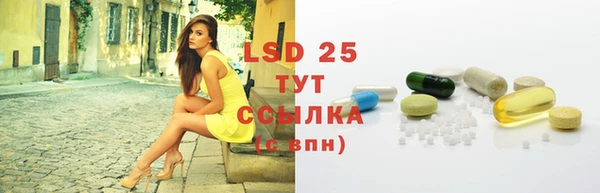 стафф Каменка