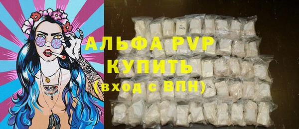 сатива Каменногорск
