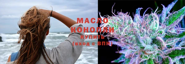 стафф Каменка