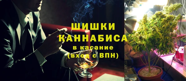 СК Каменск-Шахтинский