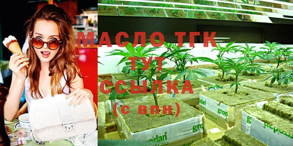стафф Каменка